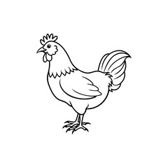 A detailed black and white line drawing of a side facing rooster Silhouette vector