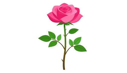 Obraz premium A vibrant pink rose, with lush green leaves, stands elegantly against a simple white background.
