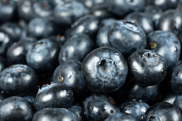 Macro Texture of Fresh Blueberries Close-Up.