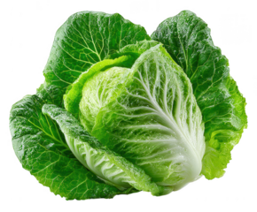 Fresh green cabbage isolated on transparent background