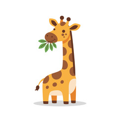 Obraz premium Friendly Giraffe Enjoying Leaves