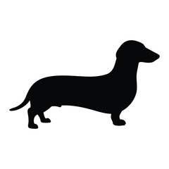Dachshund dog silhouette vector image for pet lovers and animal enthusiasts download now for free use