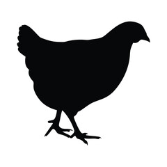 Isolated black chicken silhouette vector illustration farm animal poultry fowl domestic bird design graphic art