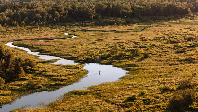 Paddlers in a canoe navigate a narrow waterway through a swamp, Maine