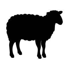 Black silhouette of sheep vector illustration farm animal livestock sheep silhouette design graphic art