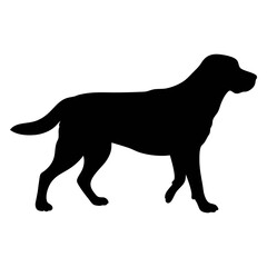 Black labrador retriever silhouette vector illustration for graphic design and web design use