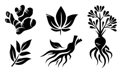 Collection of Hand-Drawn Plant Elements for Decorative Use