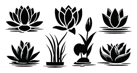 Obraz premium Six Elegant Black and White Lotus Flower Illustrations for Decoration