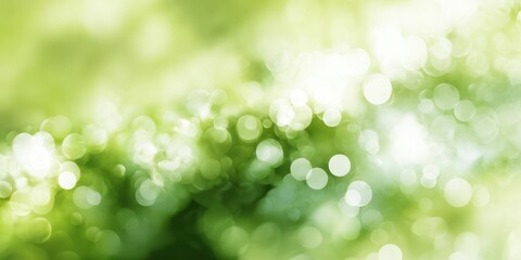 Obraz premium The Green Bokeh Background With Soft Sunlit Abstract Nature Light