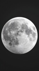 Fototapeta premium Close Up Detailed Full Moon Against Dark Background