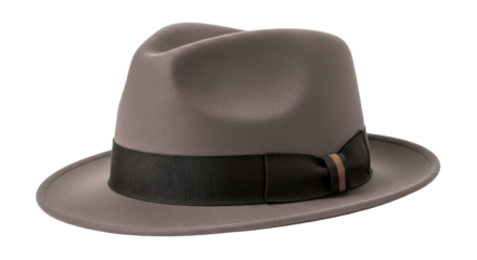 Isolated Fedora Hat