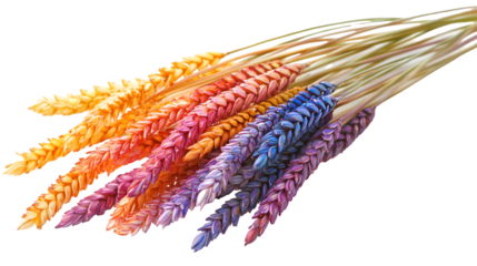 Glossy Iridescent Wheat Stalks with Colorful Bends and Twists isolated on a transparent background
