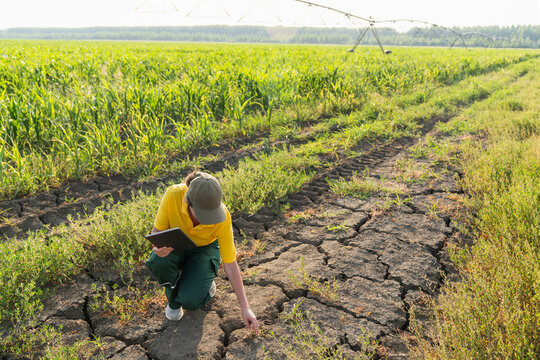 Farmer with digital tablet checking drought in smart irrigated field
