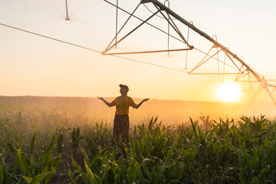 Farmer standing in irrigated corn field at sunset with pivot system