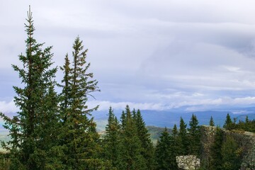 Landscape with Breathtaking Mountain View with Towering Evergreen Trees and Cloudy Skies.