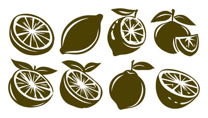 Vintage Fruit Illustrations of Lemons and Oranges in Olive Color Palette