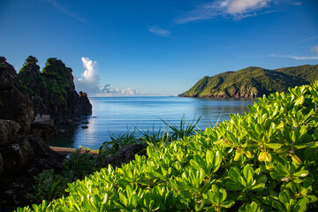 奄美大島の夏の海。
