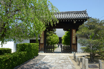 Obraz premium 妙顕寺 山門 京都市上京区