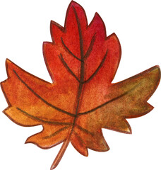 watercolor hand drawn Autumn leaves