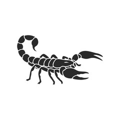 Silhouette of scorpion on white background - detailed illustration