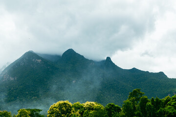 Mountain landscape with green hills trees and clouds over the peaks in summer nature view