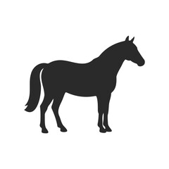Fototapeta premium Black horse silhouette on white background