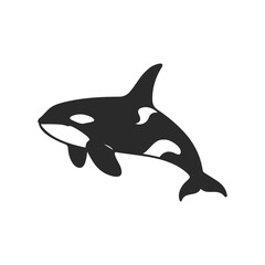 Fototapeta premium Silhouette of an orca whale on white background