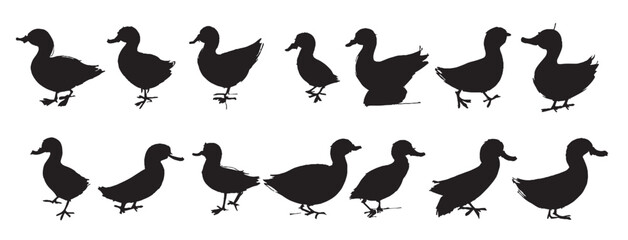 Duck silhouette set in white background 
