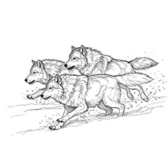 A dynamic black and white line art illustration of a pack of three wolves running through the snow.