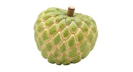 Isolated Sugar Apple