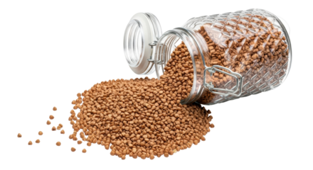 Isolated Buckwheat grain