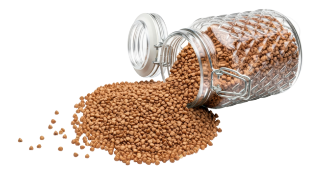 Isolated Buckwheat grain