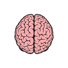 human brain vector illustration