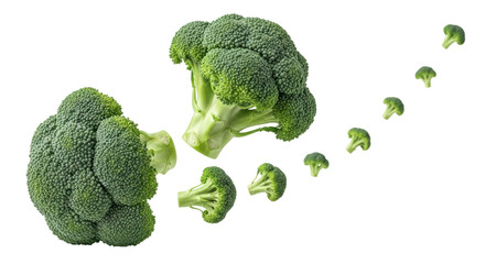 Isolated Broccoli Floret Explosion