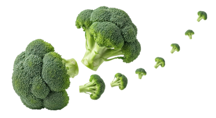 Isolated Broccoli Floret Explosion