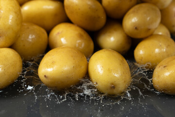 Whole fresh unpeeled potatoes in a splash of water.