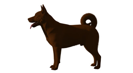 Isolated Brown Dog