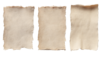 Set of torn notebook paper pieces — high-resolution isolated PNG cutouts on transparent background for scrapbooking, collage, journaling, craft mockups, branding, and design overlays