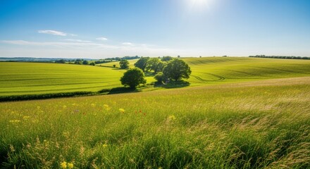 Fototapeta premium A beautiful summer landscape is shown with bright green fields under a clear blue sky. Nature concept