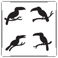 Silhouette of Toucan Birds in Various Poses - Black and White Animal Icons - Vector Illustration for Wildlife, Nature, and Tropical Projects