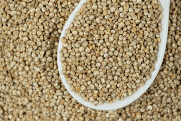 Natural white quinoa in a spoon macro