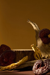 Arrangement of ginseng roots and red mushrooms placed vertically against a warm backdrop, balancing tradition with natural beauty. Space to place product, copy space