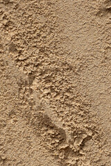 Flaxseed Powder Flour. Kitchen Background from Above.