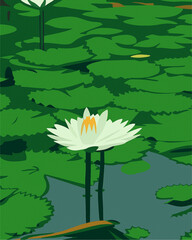 white lotus vector floating on water
