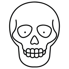 skeleton head bone line art vector icon