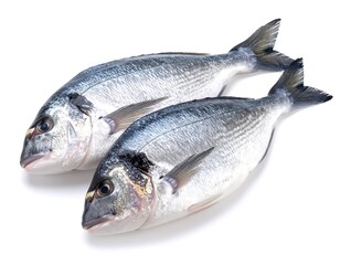 Fototapeta premium Two whole fish, side-by-side, against white background