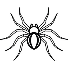 Obraz premium spider crawling line art vector icon
