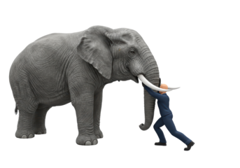 Isolated person pushing against large elephant representing huge obstacle problem tough