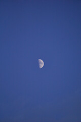 Half moon in blue sky during daytime