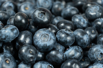 Whole Fresh Blueberries in Pile. Juicy Summer Fruit Texture